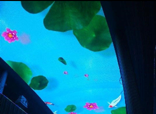 網(wǎng)紅天幕，5D矩陣天幕，洪海制造，為未來而來